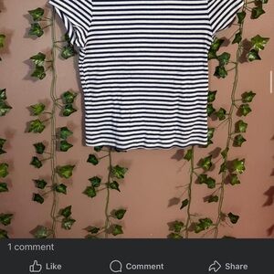 American Eagle Outfitters Black and White Striped Crop Top